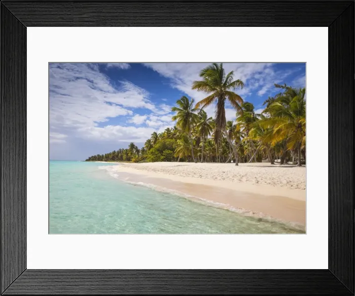 Framed Print : Canto de la Playa, Saona Island, Parque Nacional del Este, Punta Cana, Dominican Republic Framed Print : Canto de la Playa, Saona Island, Parque Nacional del Este, Punta Cana, Dominican Republic