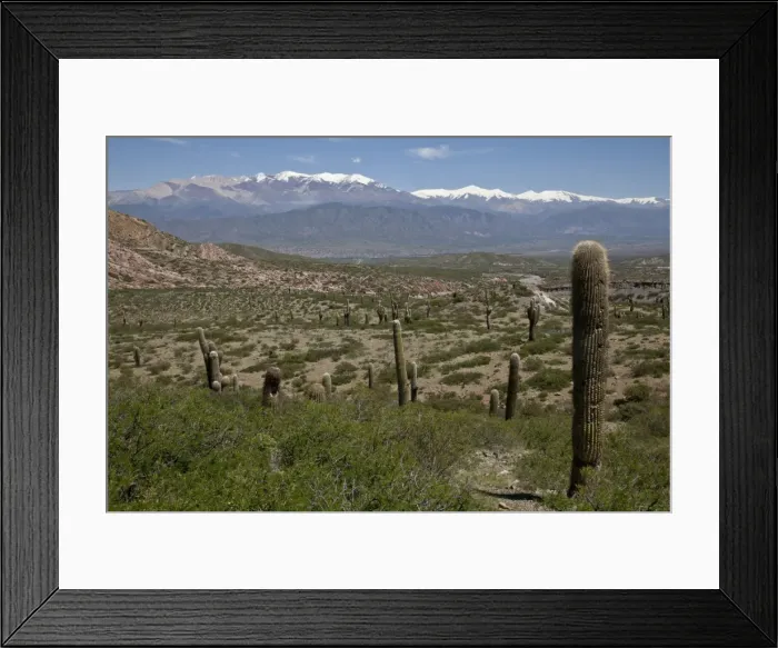 Framed Print : Los Cardones National Park (Valley of Cactus National Park), with Nevado Cachi snowcapped Framed Print : Los Cardones National Park (Valley of Cactus National Park), with Nevado Cachi snowcapped
