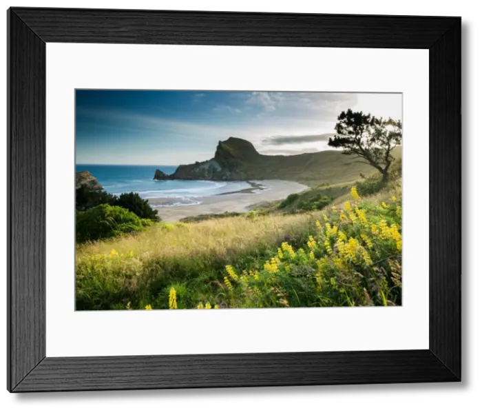 Framed Print : Deliverance Cove at sunset, North Wairarapa, Wairarapa, North Island, New Zealand