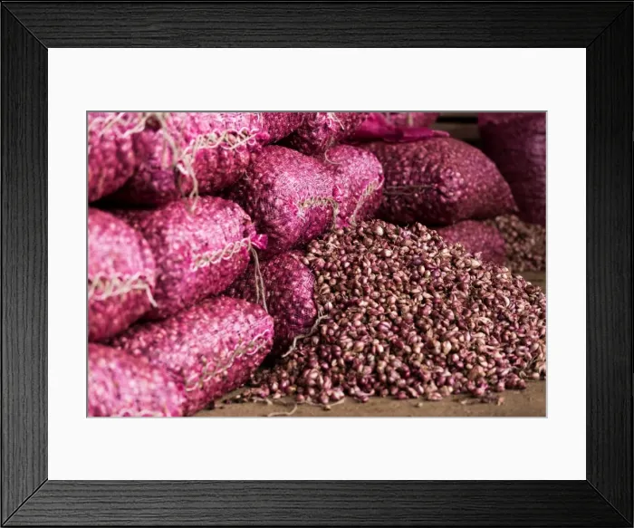 Framed Print : Shallots, Dambulla, Sri Lanka, Asia Framed Print : Shallots, Dambulla, Sri Lanka, Asia