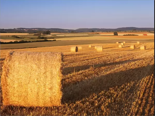 Hay bales at sunset, Swabian Alps, Baden-Wurttemberg, Germany, Europe