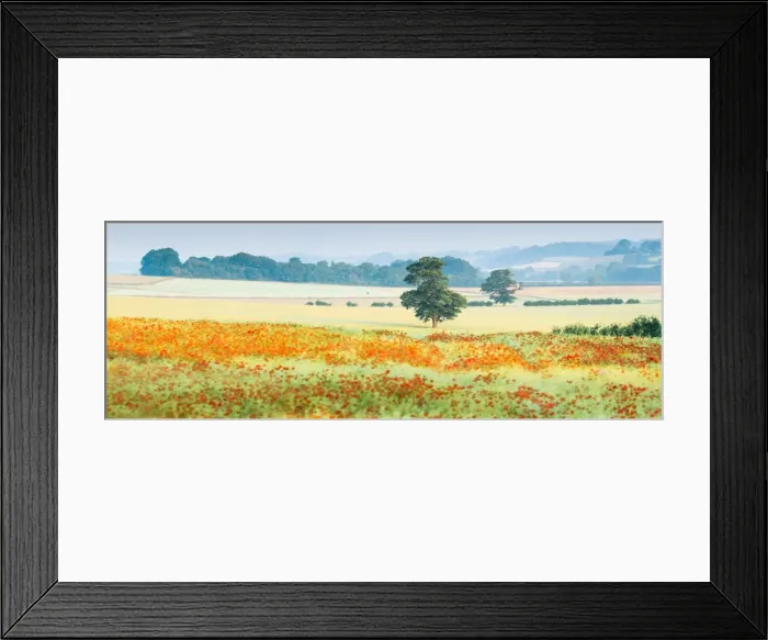 Framed Print : Poppy fields, Deddington, Oxfordshire, England, United Kingdom, Europe Framed Print : Poppy fields, Deddington, Oxfordshire, England, United Kingdom, Europe