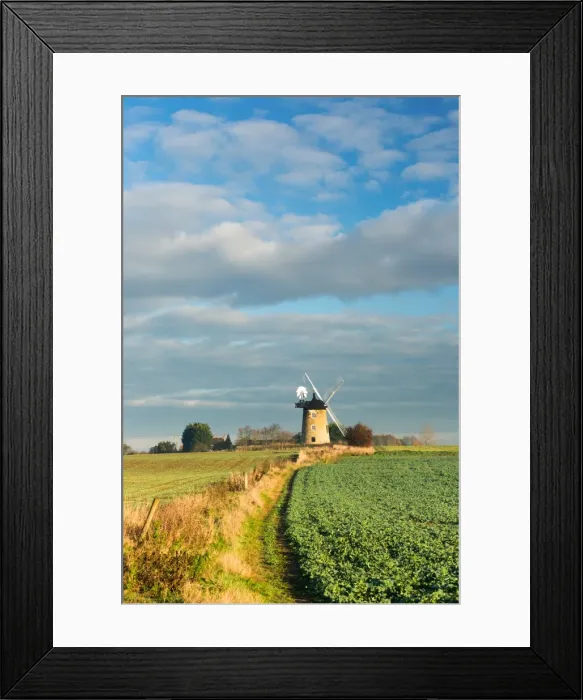 Framed Print : Great Haseley Windmill, Oxfordshire, England, United Kingdom, Europe Framed Print : Great Haseley Windmill, Oxfordshire, England, United Kingdom, Europe