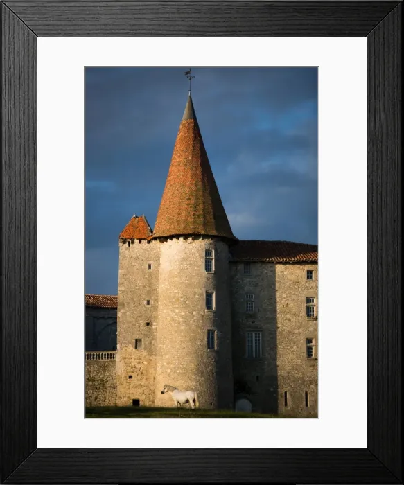 Framed Print : Chillac Chateau, La Charente, France, Europe
