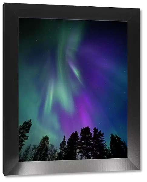 Aurora borealis, corona, Muonio, Finland, Scandinavia, Europe