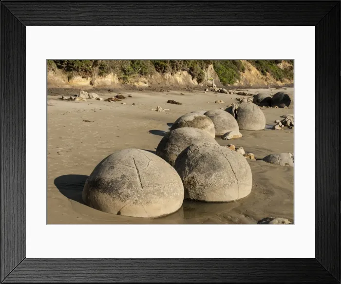 Framed Print : Septarian nodules washed out from cliff of Palaeocene clays, Moeraki Boulders, Dunedin Framed Print : Septarian nodules washed out from cliff of Palaeocene clays, Moeraki Boulders, Dunedin