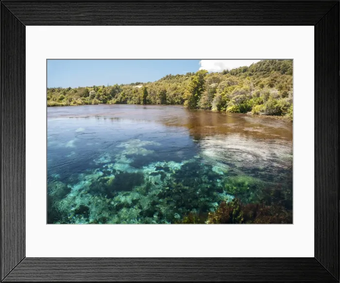 Framed Print : Te Waikoropupu Springs, Takaka karst, South Island, New Zealand, Pacific Framed Print : Te Waikoropupu Springs, Takaka karst, South Island, New Zealand, Pacific