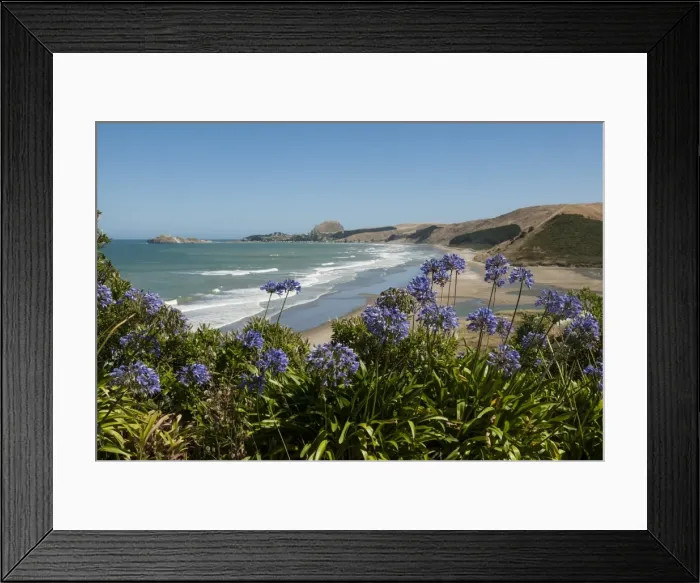 Framed Print : Castlepoint, southeast coast, North Island, New Zealand, Pacific