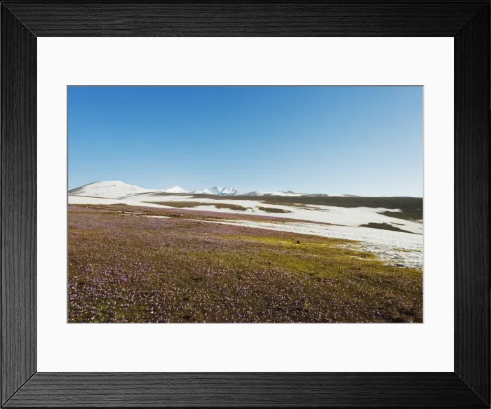 Framed Print : Scenery on the slopes of Mount Aragats, 4090m, highest mountain in Armenia, Aragatsotn Province Framed Print : Scenery on the slopes of Mount Aragats, 4090m, highest mountain in Armenia, Aragatsotn Province