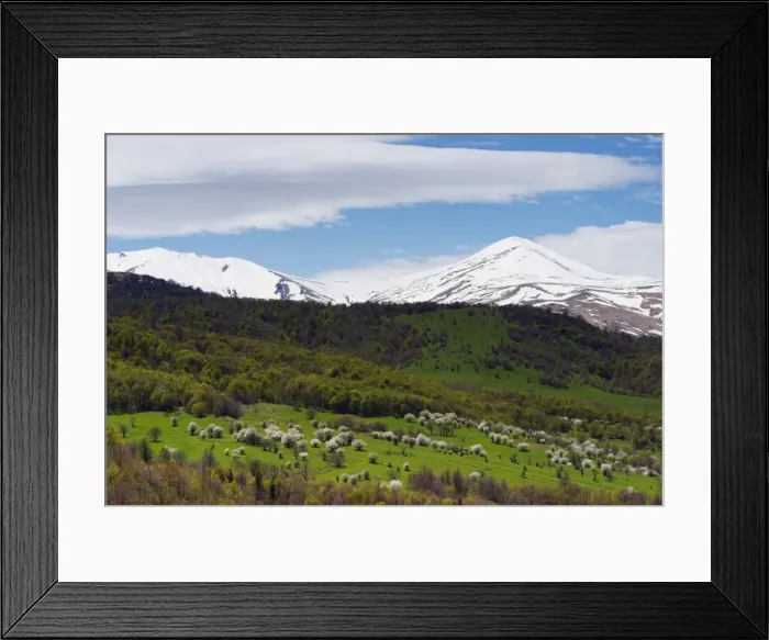 Framed Print : Rural scenery, mountain cherry blossom, Lori Province, Armenia, Caucasus, Central Asia Framed Print : Rural scenery, mountain cherry blossom, Lori Province, Armenia, Caucasus, Central Asia