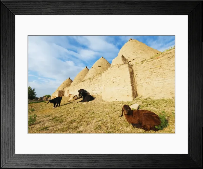 Framed Print : Bee-hive mud brick houses and goats, village of Harran, Anatolia, Turkey, Asia Minor Framed Print : Bee-hive mud brick houses and goats, village of Harran, Anatolia, Turkey, Asia Minor