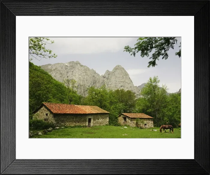 Framed Print : Horse on Pasture, near Posada de Valdeon, Picos de Europa, Parque Nacional de los Picos de Europa
