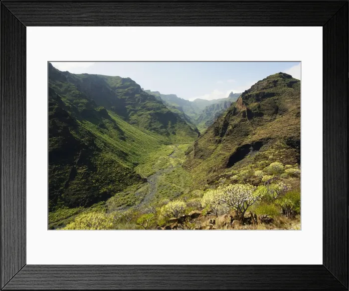 Framed Print : Barranco de Santiago, La Gomera, Canary Islands, Spain, Europe Framed Print : Barranco de Santiago, La Gomera, Canary Islands, Spain, Europe