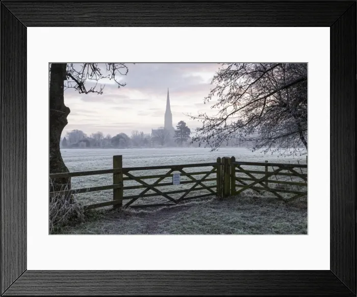 Framed Print : Salisbury Cathedral at dawn in Salisbury, Wiltshire, England, United Kingdom, Europe