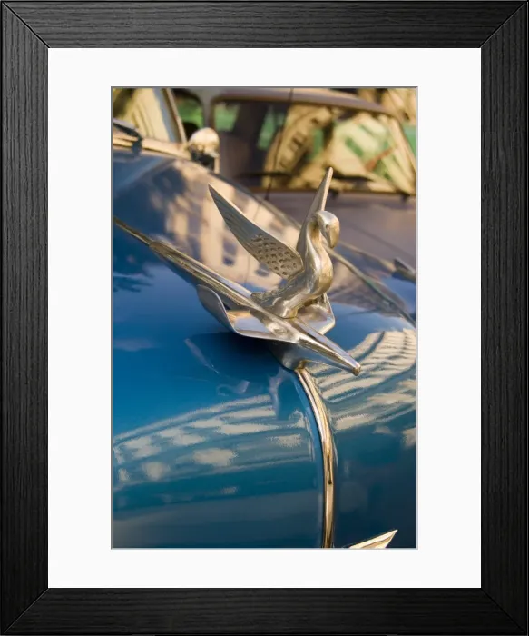 Framed Print : A hood ornament (mascot) on the bonnet of a vintage American Chevrolet Framed Print : A hood ornament (mascot) on the bonnet of a vintage American Chevrolet