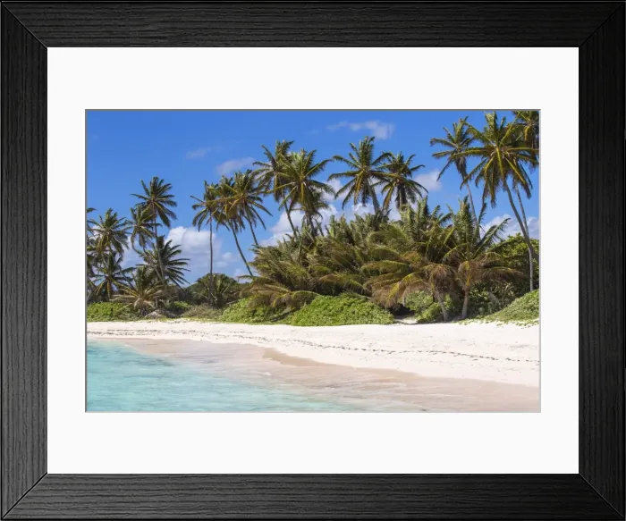 Framed Print : Playa Blanca, Punta Cana, Dominican Republic, West Indies, Caribbean, Central America Framed Print : Playa Blanca, Punta Cana, Dominican Republic, West Indies, Caribbean, Central America