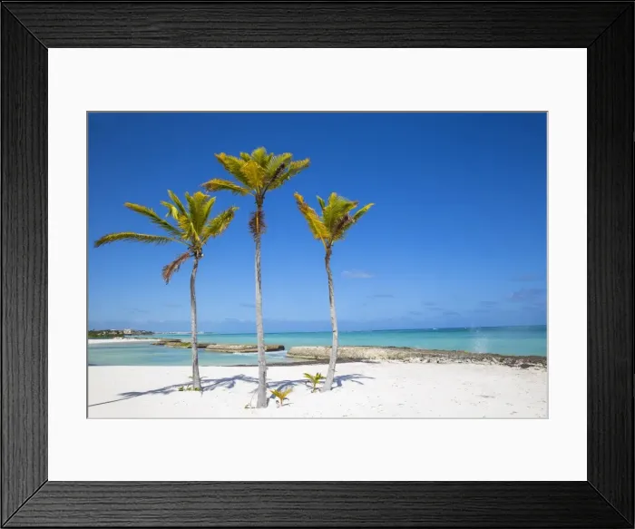 Framed Print : Beach at Also del Mar resort, Punta Cana, Dominican Republic, West Indies, Caribbean Framed Print : Beach at Also del Mar resort, Punta Cana, Dominican Republic, West Indies, Caribbean