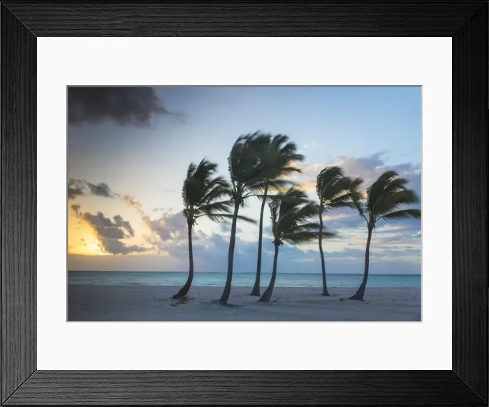 Framed Print : Juanillo Beach, Cap Cana, Punta Cana, Dominican Republic, West Indies, Caribbean Framed Print : Juanillo Beach, Cap Cana, Punta Cana, Dominican Republic, West Indies, Caribbean