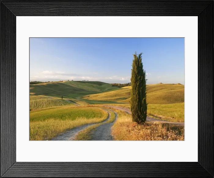 Framed Print : Tuscan landscape with cypress tree, near San Quirico, Val d Orcia (Orcia Valley) Framed Print : Tuscan landscape with cypress tree, near San Quirico, Val d Orcia (Orcia Valley)
