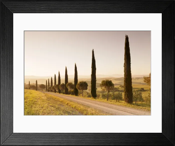 Framed Print : Alley of cypress trees at sunrise, near San Quirico, Val d Orcia (Orcia Valley)