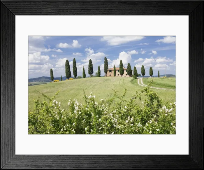Framed Print : Farm house with cypress trees, near Pienza, Val d Orcia (Orcia Valley), UNESCO World Heritage Site
