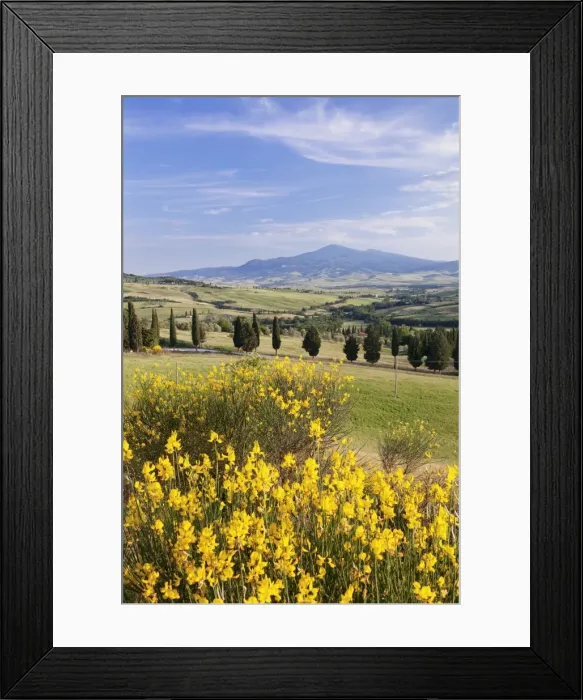 Framed Print : Tuscan landscape with Monte Amiata, near Pienza, Val d Orcia (Orcia Valley), UNESCO Framed Print : Tuscan landscape with Monte Amiata, near Pienza, Val d Orcia (Orcia Valley), UNESCO