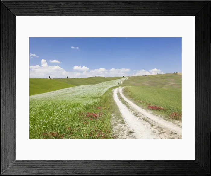 Framed Print : Path through Tuscan landscape. near San Quirico, Val d Orcia (Orcia Valley), UNESCO Framed Print : Path through Tuscan landscape. near San Quirico, Val d Orcia (Orcia Valley), UNESCO