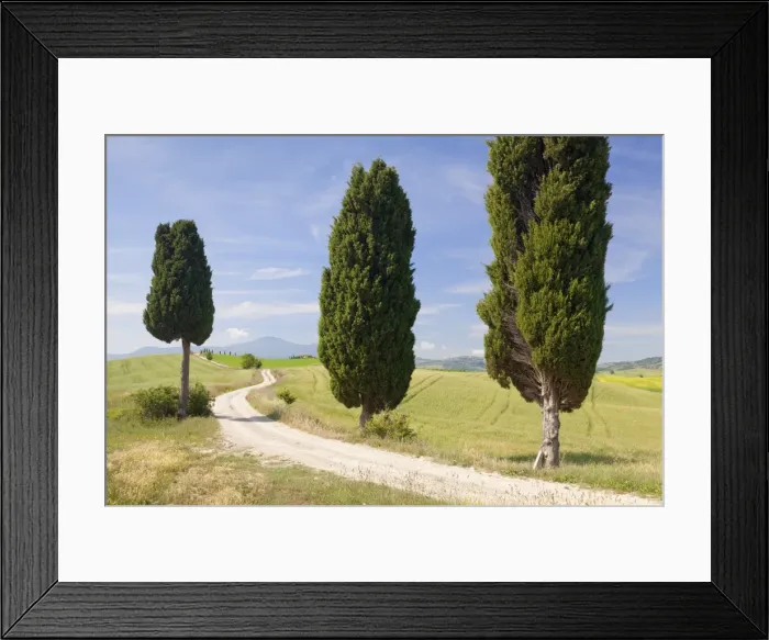 Framed Print : Tuscan landscape with cypress trees, near Pienza, Val d Orcia (Orcia Valley), UNESCO Framed Print : Tuscan landscape with cypress trees, near Pienza, Val d Orcia (Orcia Valley), UNESCO