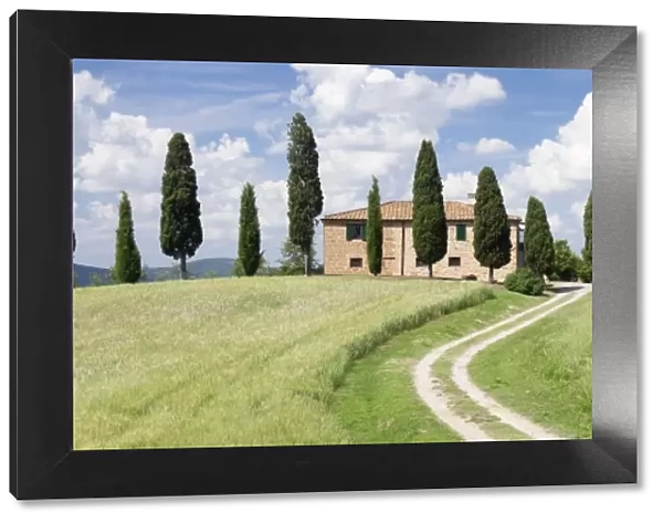 Farm house with cypress trees near Pienza, Val d Orcia (Orcia Valley), UNESCO World Heritage Site