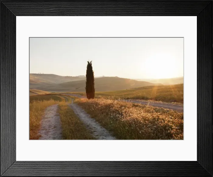 Framed Print : Tuscan landscape with cypress tree at sunrise, near San Quirico, Val d Orcia (Orcia Valley) Framed Print : Tuscan landscape with cypress tree at sunrise, near San Quirico, Val d Orcia (Orcia Valley)