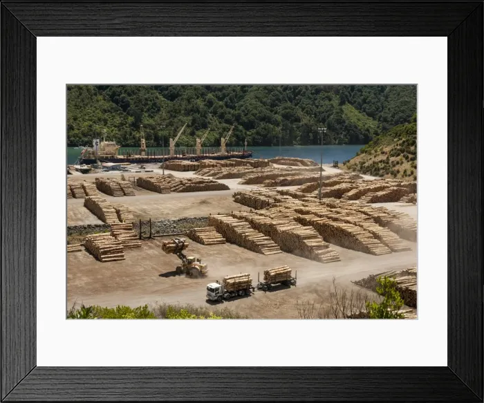 Framed Print : Timber port, Okiwa Bay, Marlborough Sounds, South Island, New Zealand, Pacific Framed Print : Timber port, Okiwa Bay, Marlborough Sounds, South Island, New Zealand, Pacific
