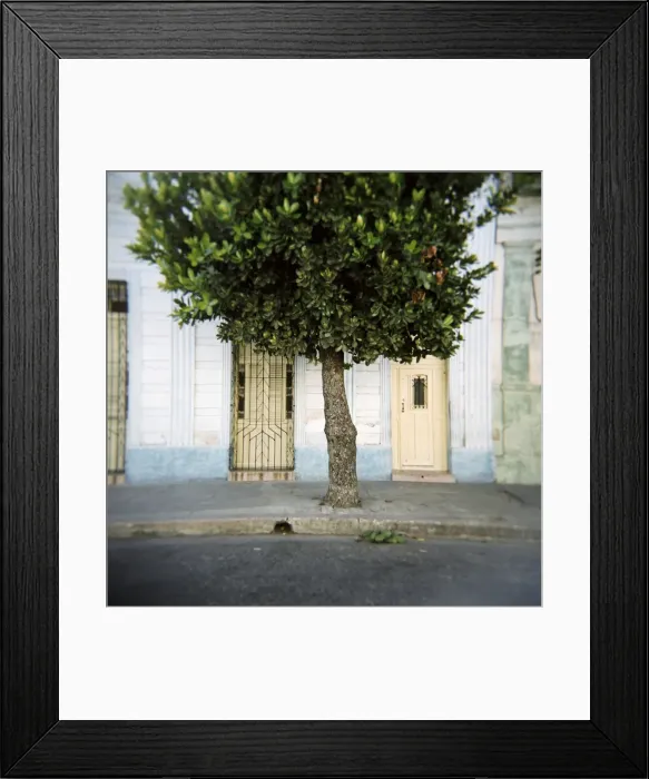 Framed Print : Tree and architectural detail, Cienfuegos, Cuba, West Indies, Central America Framed Print : Tree and architectural detail, Cienfuegos, Cuba, West Indies, Central America