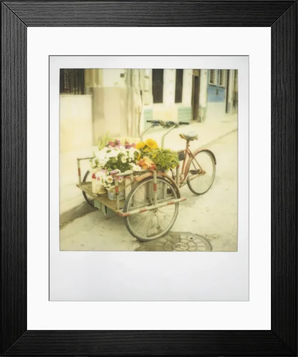 Framed Print : Polaroid of tricycle loaded with flowers for sale, Havana, Cuba, West Indies Framed Print : Polaroid of tricycle loaded with flowers for sale, Havana, Cuba, West Indies