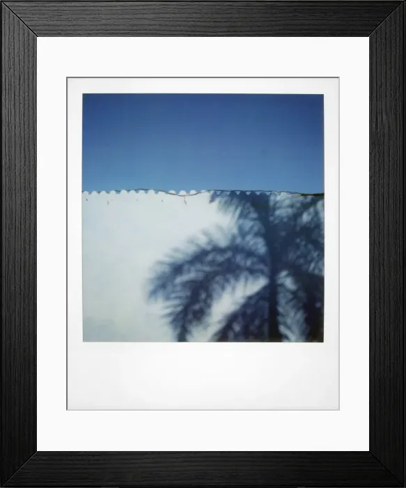Framed Print : Polaroid of shadow of palm tree on painted blue wall, Plaza Mayor, Trinidad Framed Print : Polaroid of shadow of palm tree on painted blue wall, Plaza Mayor, Trinidad