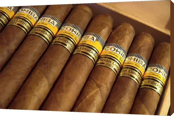 Close-up of limited edition cigars in a box, Cohiba, Havana, Cuba, West Indies