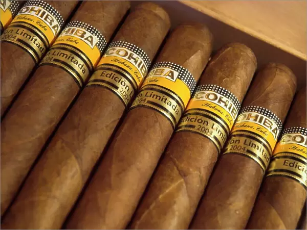 Close-up of limited edition cigars in a box, Cohiba, Havana, Cuba, West Indies