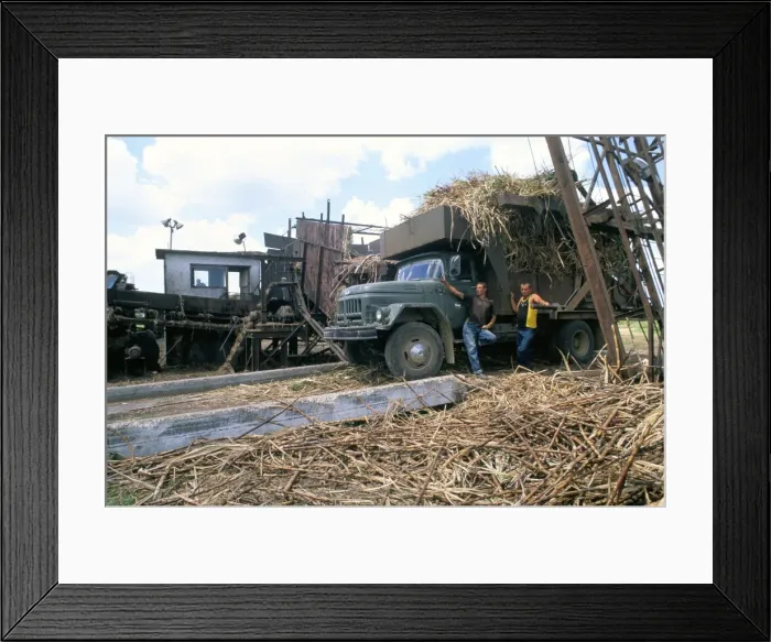 Framed Print : Men on the Guainamaro sugar plantation, Valley de los Ingenios, Sancti Spiritus region Framed Print : Men on the Guainamaro sugar plantation, Valley de los Ingenios, Sancti Spiritus region