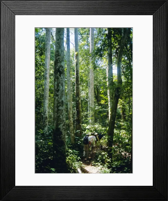 Framed Print : Guanayana Park, Cuba Framed Print : Guanayana Park, Cuba