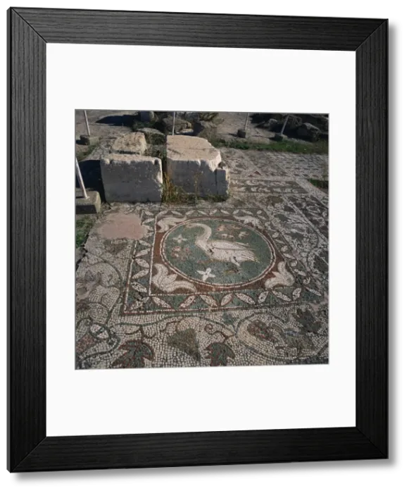 Framed Print : Bird mosaic on floor of Roman basilica of the 5th century AD in Soli, one of Cypruss ten ancient city kingdoms, founded in the 6th century BC, Soli, North Framed Print : Bird mosaic on floor of Roman basilica of the 5th century AD in Soli, one of Cypruss ten ancient city kingdoms, founded in the 6th century BC, Soli, North