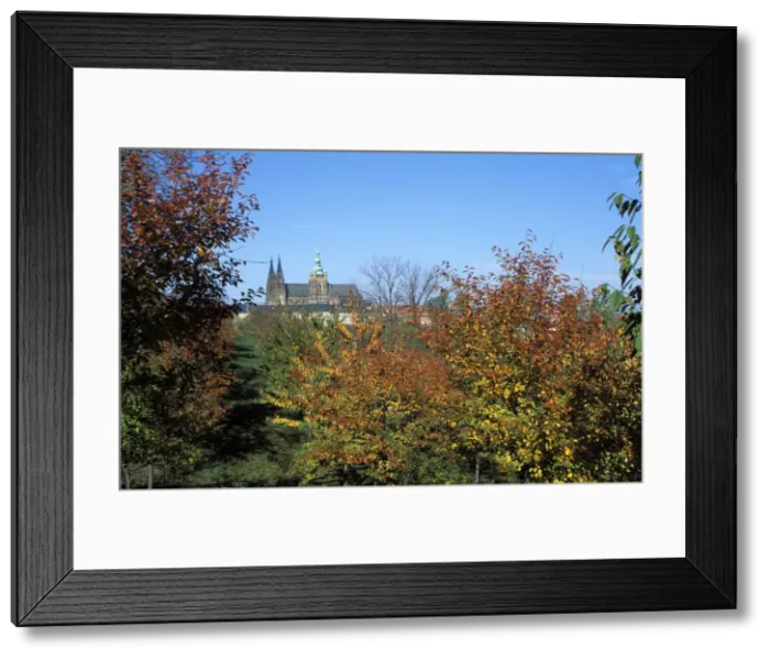 Framed Print : View of trees in autumn colours on Petrin Hill Gardens with Prague Castle in the distance Framed Print : View of trees in autumn colours on Petrin Hill Gardens with Prague Castle in the distance