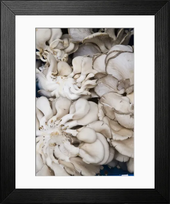 Framed Print : Wild mushrooms in market, Old Town, Prague, Czech Republic, Europe Framed Print : Wild mushrooms in market, Old Town, Prague, Czech Republic, Europe