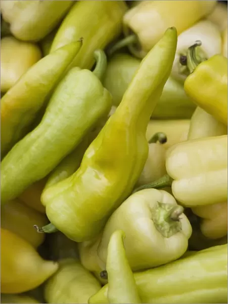 Green chilli peppers in market, Old Town, Prague, Czech Republic, Europe