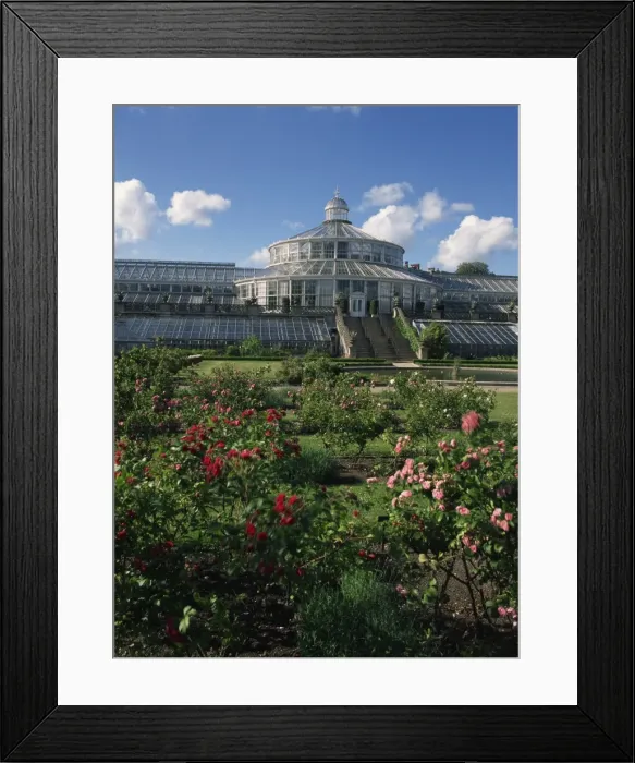 Framed Print : Hot house, botanical gardens, Copenhagen, Denmark, Scandinavia, Europe Framed Print : Hot house, botanical gardens, Copenhagen, Denmark, Scandinavia, Europe