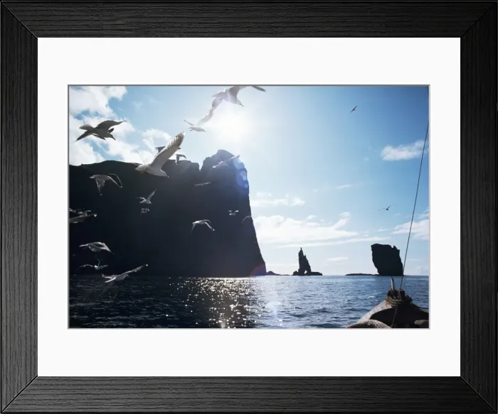 Framed Print : Faroe Islands, Denmark, North Atlantic Framed Print : Faroe Islands, Denmark, North Atlantic