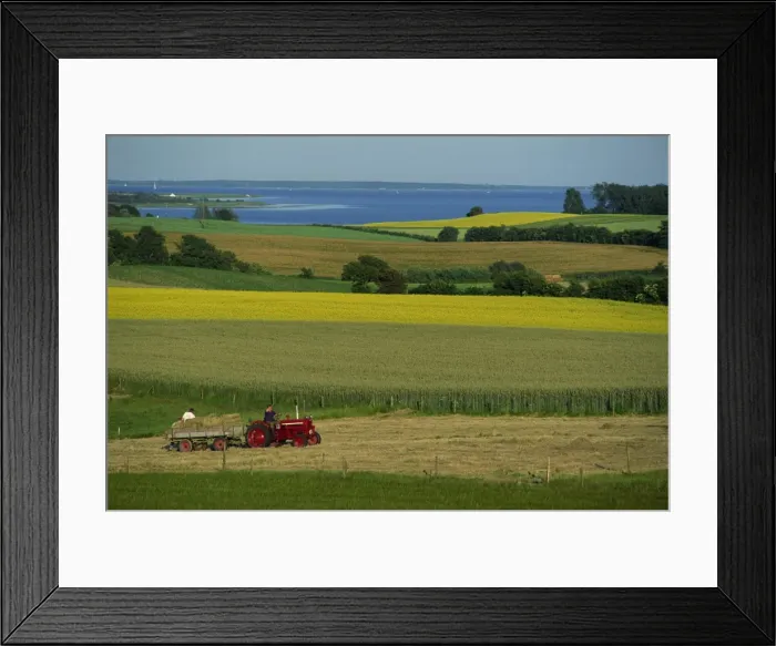 Framed Print : Tractor in field at harvest time, east of Faborg, Funen Island, Denmark Framed Print : Tractor in field at harvest time, east of Faborg, Funen Island, Denmark