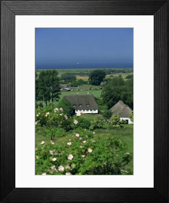 Framed Print : Thatched cottages and farmland, Aero Island, Denmark, Scandinavia, Europe Framed Print : Thatched cottages and farmland, Aero Island, Denmark, Scandinavia, Europe