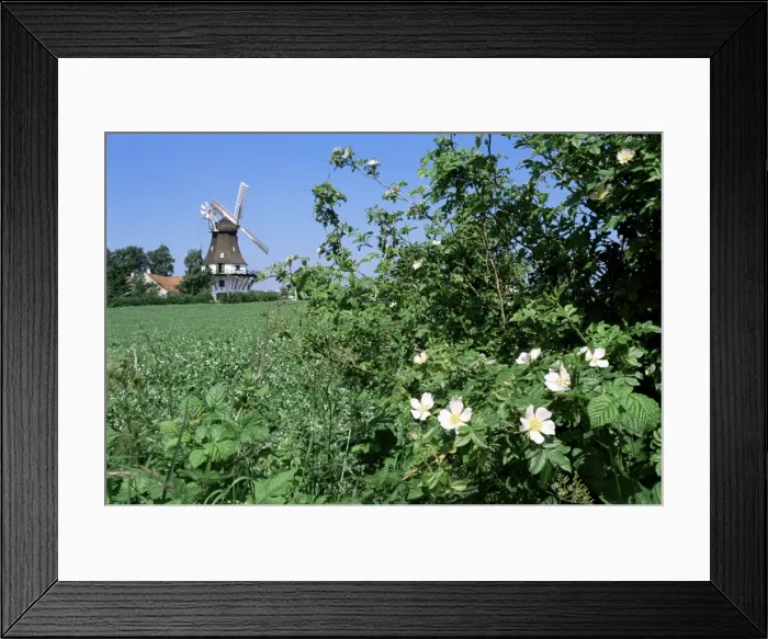 Framed Print : Egeskov Mill, Funen, Denmark, Scandinavia, Europe Framed Print : Egeskov Mill, Funen, Denmark, Scandinavia, Europe