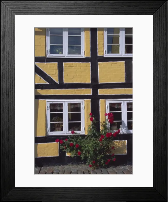 Framed Print : Colourful houses, Aeroskobing, island of Aero, Denmark, Scandinavia, Europe Framed Print : Colourful houses, Aeroskobing, island of Aero, Denmark, Scandinavia, Europe
