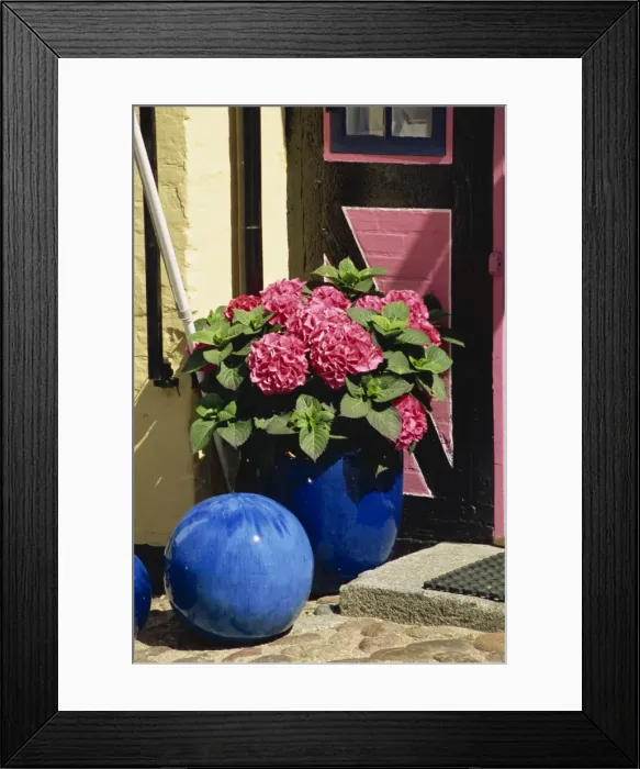 Framed Print : Pot plant outside a house in Aeroskobing, Aero, Denmark, Scandinavia, Europe Framed Print : Pot plant outside a house in Aeroskobing, Aero, Denmark, Scandinavia, Europe