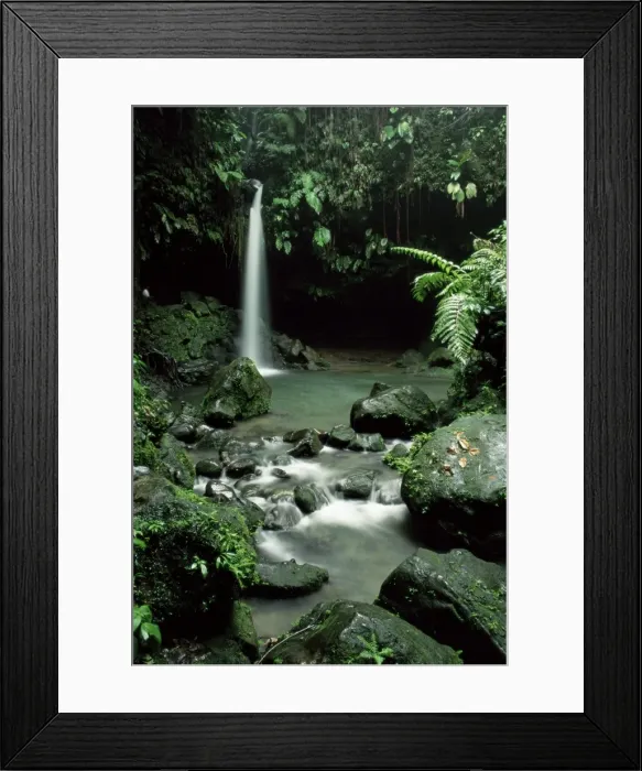 Framed Print : Waterfall flowing into the Emerald Pool, Dominica, West Indies, Central America